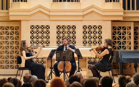 97-KpT2025-XB175338-ORF